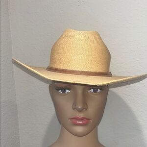 Tan and Brown Fedora Hat with Wide Brim